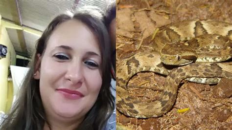 Mulher De Anos Morre Ap S Ser Picada Por Uma Cobra Jararaca Banda B