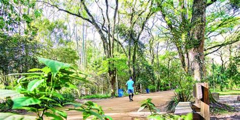 Parque Do Piqueri Est Entre As Op Es De Lazer E Bem Estar Do Tatuap