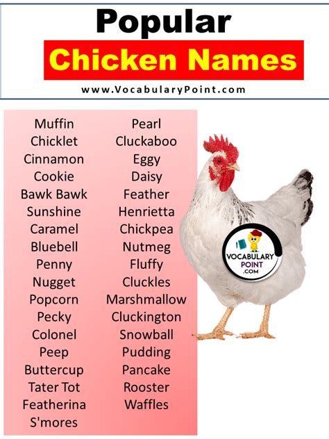 999 Best Chicken Names Cute Funny Clever Baby Chick Names