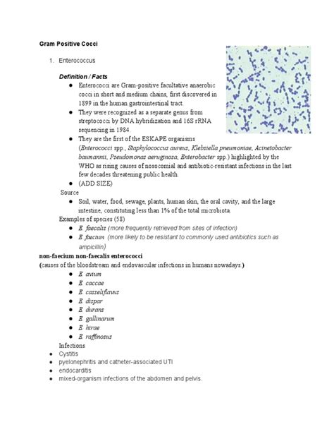 Enterococcus | PDF