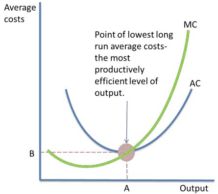 Microeconomics Efficiency Flashcards Quizlet