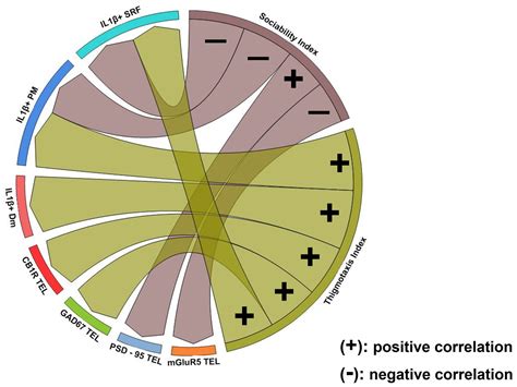 Frontiers Altered Gabaergic Glutamatergic And Endocannabinoid