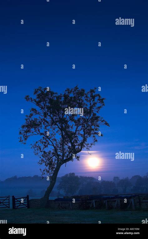 Moonlit landscape hi-res stock photography and images - Alamy