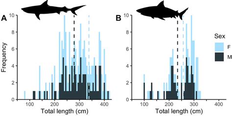 Size Frequency Histograms By Sex Of A Tiger Shark And B Bull Shark Download Scientific