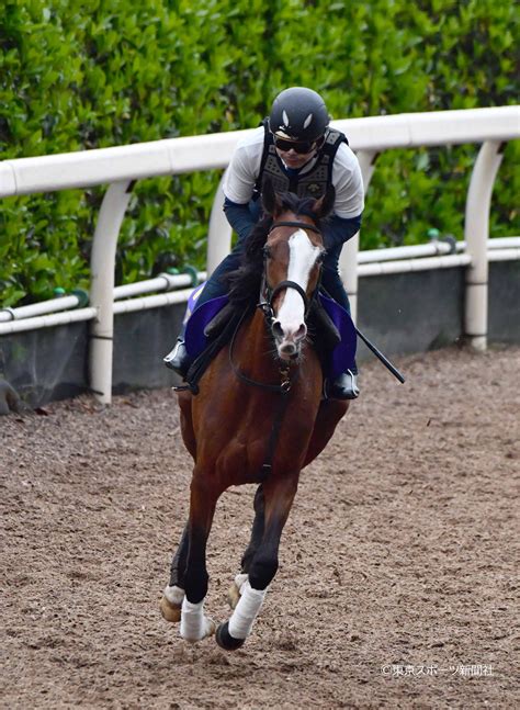 東スポ 写真部 On Twitter 【競馬】2022年4月26日 天皇賞 メロディーレーン 東スポ競馬 競馬 栗東トレセン