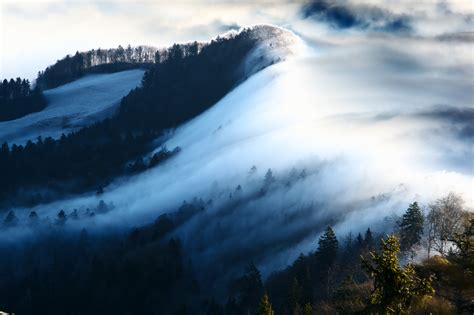 图片素材 景观 树 性质 森林 荒野 雪 冬季 天空 多雾路段 薄雾 阳光 早上 爬坡道 黎明 大气层 谷