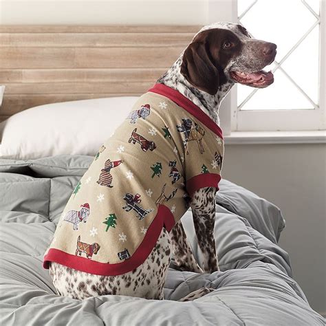 11 Matching Dog And Owner Pajamas That Are Adorable From Head To Paw — Photos