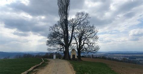 Graz H Hnerberg Kollischberg Wildon Bergfex Wanderung Tour