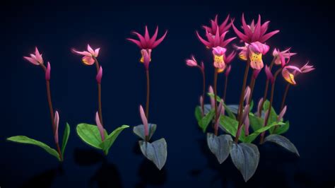 ArtStation - Flower Calypso Bulbosa | Game Assets