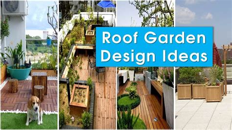 Roof Garden Design Ideas Latest To Elevate Urban Living