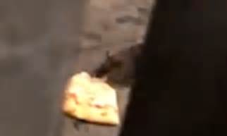 Giant rats in New York subway fight over a slice of pizza | Daily Mail ...