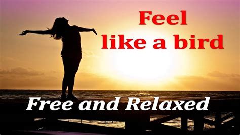 Music For Relaxation Meditation Fly Effects Musik Zur