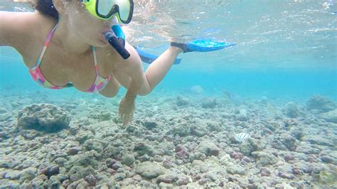 maui-snorkeling-4 • A Passion and A Passport