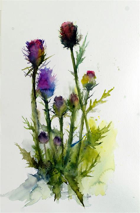 Scottish Thistle Watercolor Print Thistle Art Decor Etsy