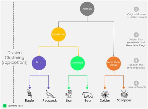 Classification Vs Clustering In Machine Learning A Comprehensive Guide Datacamp