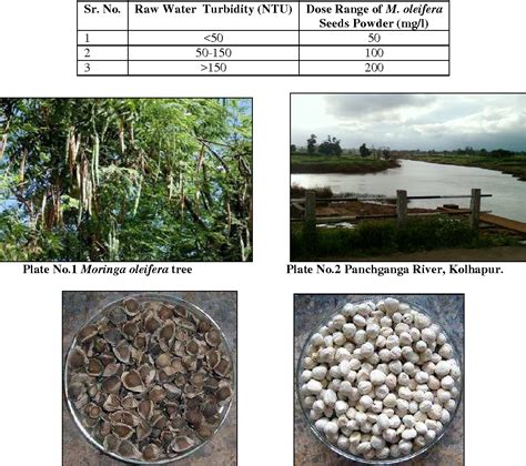 Table From Study Of Moringa Oleifera Drumstick Seed As Natural