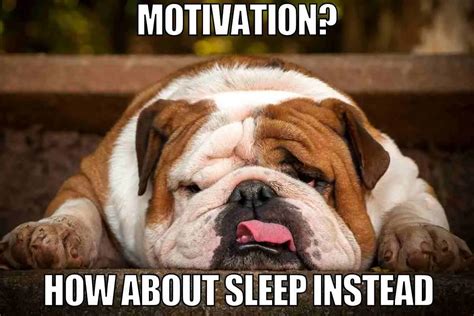 75 Best Motivation Memes To Pump You Up And Inspire