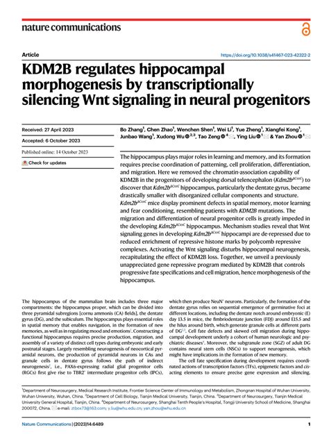 PDF KDM2B Regulates Hippocampal Morphogenesis By Transcriptionally