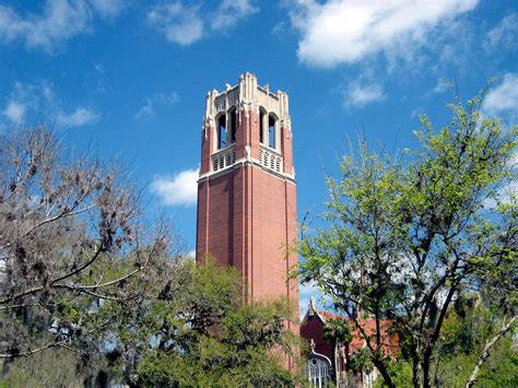 University of Florida Wallpaper - WallpaperSafari