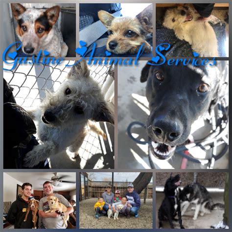 Livingston... - Livingston Police Department Animal Control