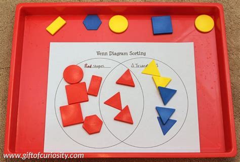 Construct Venn Diagrams To Sort Data Sorting According To Tw