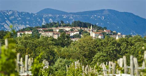 mediteranska  kraska slovenija slovenia outdoor