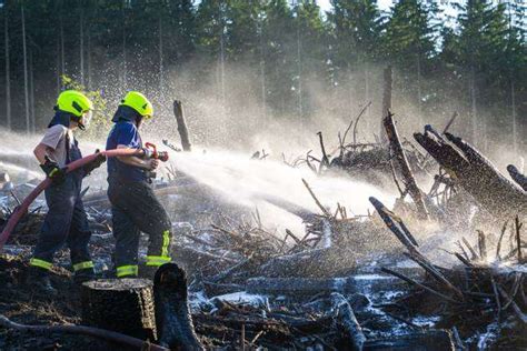 große Trockenheit birgt aktuell eine hohe Waldbrandgefahr