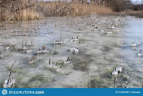 Beautiful Frozen Gurudongmar Lake Main Tourist Attraction Gangtok