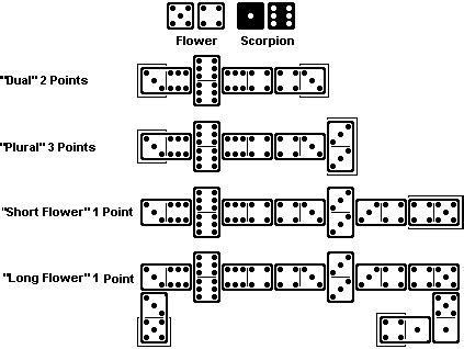 Flower And Scorpion Domino Game Rules