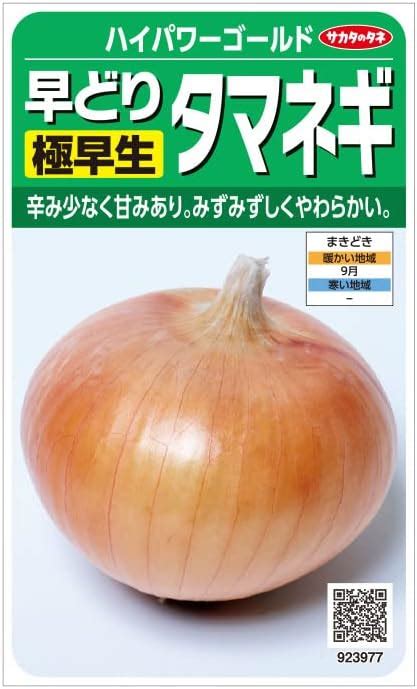 Amazon サカタのタネ 実咲野菜3977 タマネギ 早どり極早生タマネギ ハイパワーゴールド 野菜