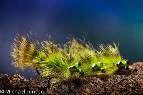 Shades Of Green Fly Tying Video Michael Jensens Angling