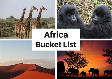 Best Bucket list items Safari in Africa | Africa Safaris Tours | Kenya