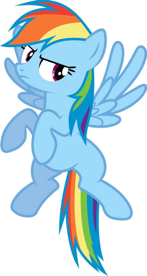 Fluttershy Rainbow Dash Vector