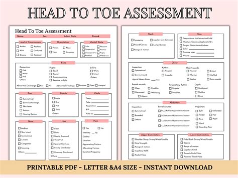 Head To Toe Assessment Template Nursing Checklist Nursing Student Notes