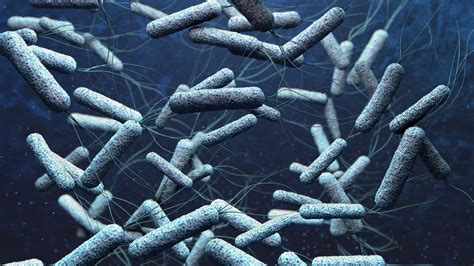 Turning The Tables On The Cholera Pathogen