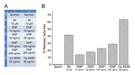 Isolation Of Peritoneum Derived Mast Cells And Their Functional