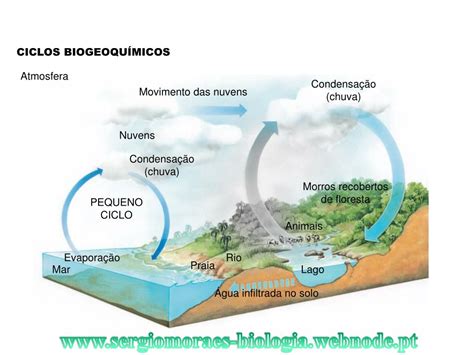 PPT Os Ciclos Biogeoquímicos PowerPoint Presentation free download