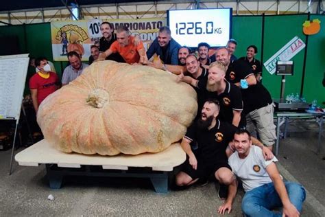 Italian farmer breaks world record with 2,702-pound pumpkin - UPI.com