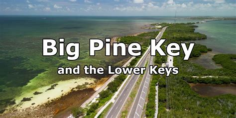 Big Pine Key - Conservation and Adventure in Florida's Lower Keys ...