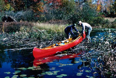 File:Over-beaver-dam.jpg - Wikimedia Commons