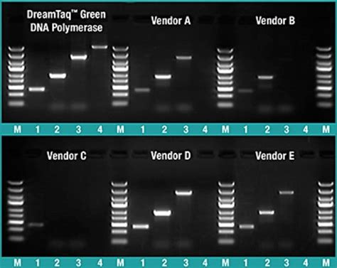 Thermo Scientific DreamTaq Green PCR Master Mix 2X Promotion 20 X 1