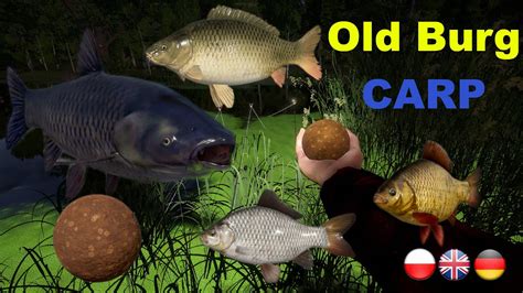 Russian Fishing No Pva Old Burg Carp Rf Spot Youtube