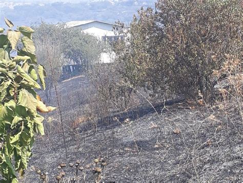 Onemi Canceló Alerta Roja Que Regía En La Comuna De Melipilla Por