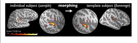 Table From Meg And Eeg Data Analysis With Mne Python Semantic Scholar