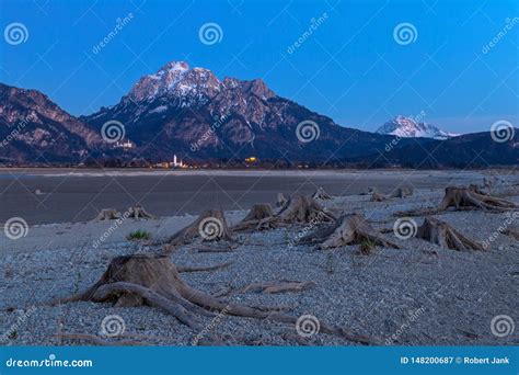 Tree Stump in Dry Lake Forggensee after Sunset with a View To Neuschwanstein Castle Stock Image ...