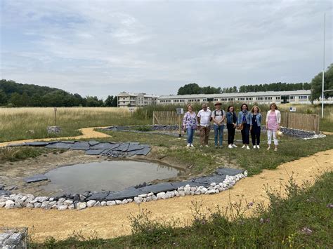 Des Nouvelles De La Mare P Dagogique Du Lpo Charles De Gaulle Lyc E