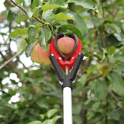 Darlac Dp116 Telescopic Fruit Grabber Gardening Garden Tools