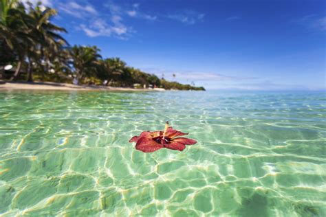 Tropical Island Fiji Beaches