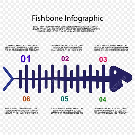 Fishbone Diagram Vector Hd Images Fishbone Diagram Design Infographic