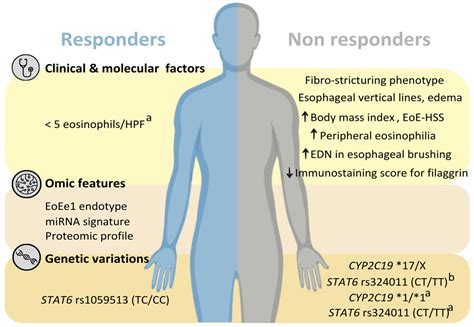 Pharmaceutics Free Full Text Proton Pump Inhibitors In Eosinophilic